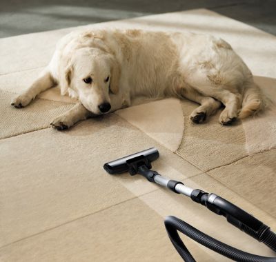 We offer a FIVE STAR Commercial Cleaning/End Of Lease Cleaning Service!