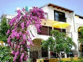 Charming apartments in Croatia  50m from the sea