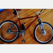 Phill Wood Mountain Bike