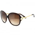 Gucci 2012 new brown sunglass GG3129