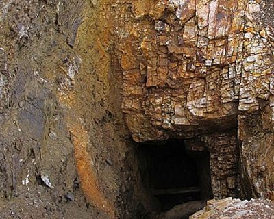 Mongolia Gold Mines