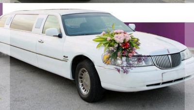 Napa Wedding Limousine Service