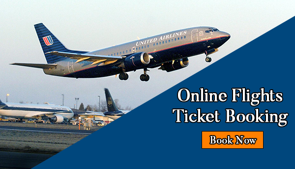 Check out the best and cheap Flights from Chicago to Miami || Flightsbird 