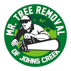 Mr. Tree Removal of Johns Creek