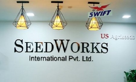Hybrid Tomato Seeds Suppliers in India | SeedWorks