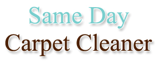 Carpet cleaner in Highlands Ranch
