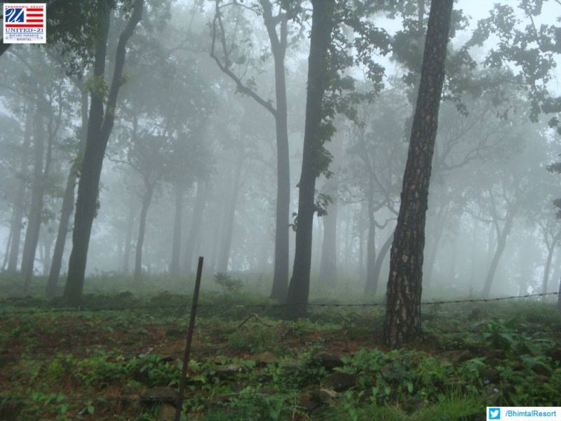 Resorts in Bhimtal