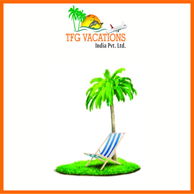 Work for a Travel Website for Few Hours