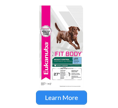 Best Dog Food for Great Danes 2020: Top Products + Buying Guide