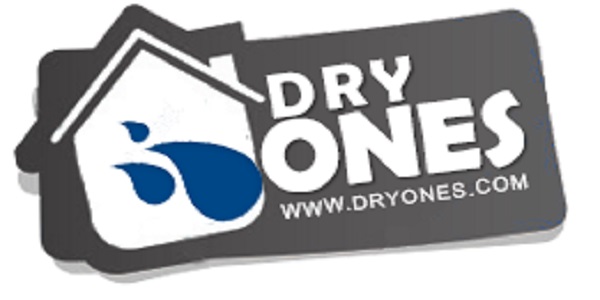 Black Mold Removal Inc