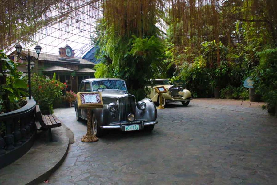 Fernwood Gardens