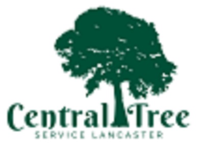 Central Tree Service Lancaster
