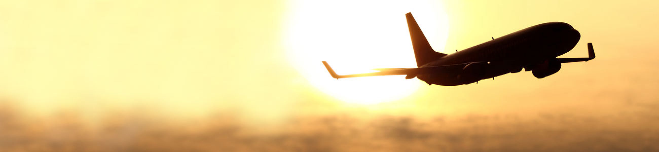 Cheap Flights from Newark | FlightsBird