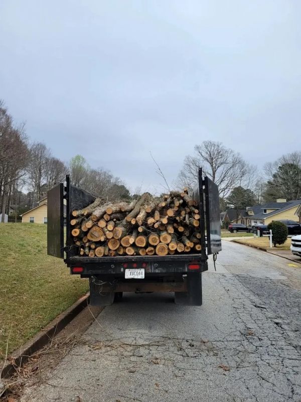 Tree service in Atlanta GA | Advance Grading & Tree Service