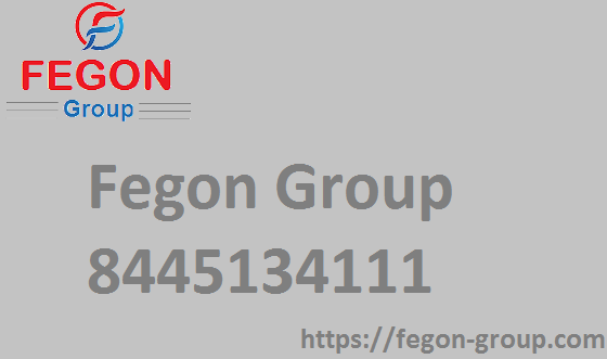 Fegon-Group | 844-513-4111 | Best Network Security Solutions