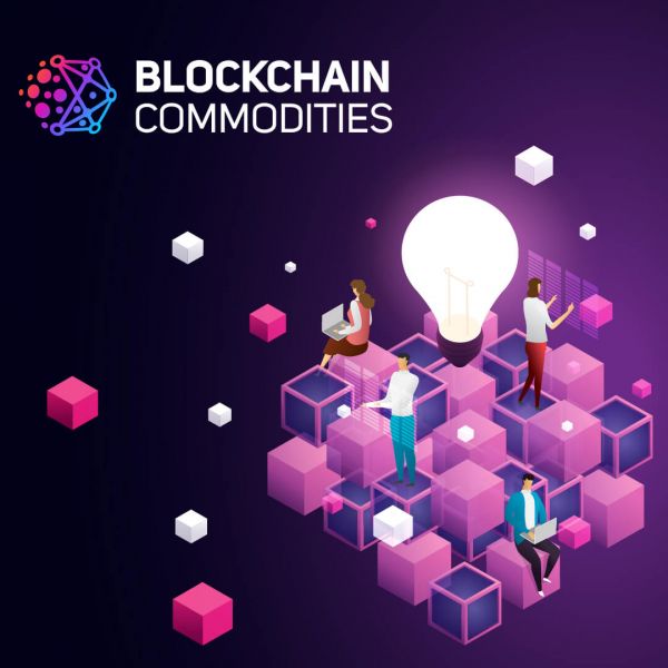 Blockchain Commodities: A Leader in Custom Blockchain Software Development