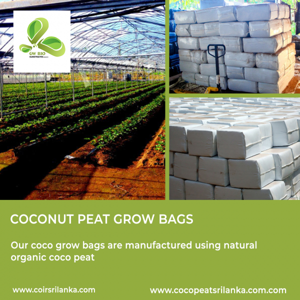 Coconut Peat 25 Kg