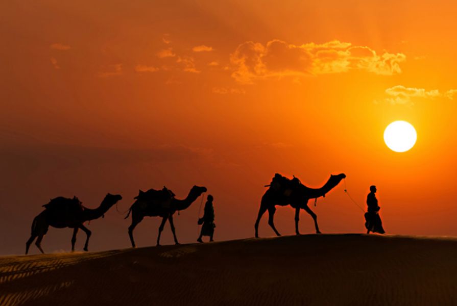 Best Of Rajasthan holiday deals