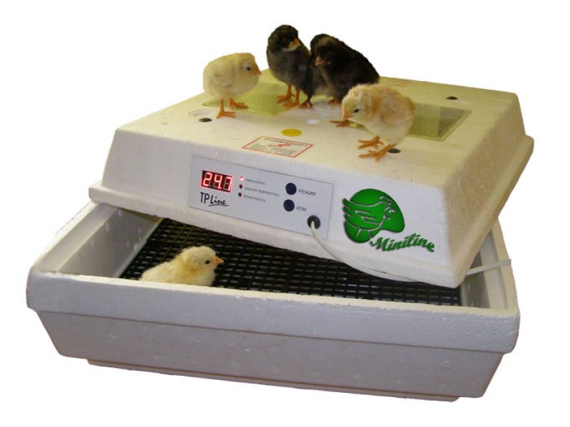 Бытовые инкубаторы Лелека для яиц от НПК Минилайн