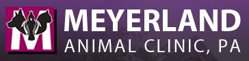 Houston Veterinarian Nearest To Me - Mr. Jeff Herman