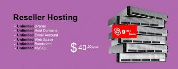 SEO | Webpage Creation | Web Designing