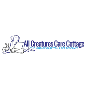 Recommended End of Life Care Costa Mesa - 92627- Dr. Rand Spongberg 