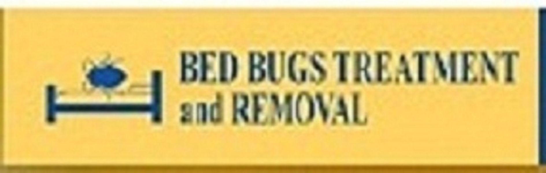 Bed Bug Treatment and Removal