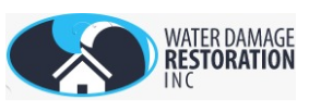 Black Mold Removal Co