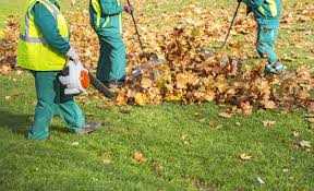 Landscaping Construction Company | Tree Trimming Service Near Me