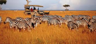 Tanzania Safari Holiday