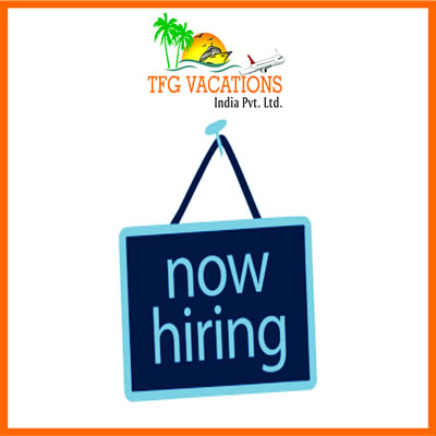 Work for a Travel Website for Few Hours