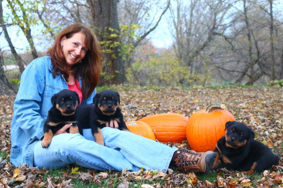 Home raised Rottweiler Puppies Ready !!!!