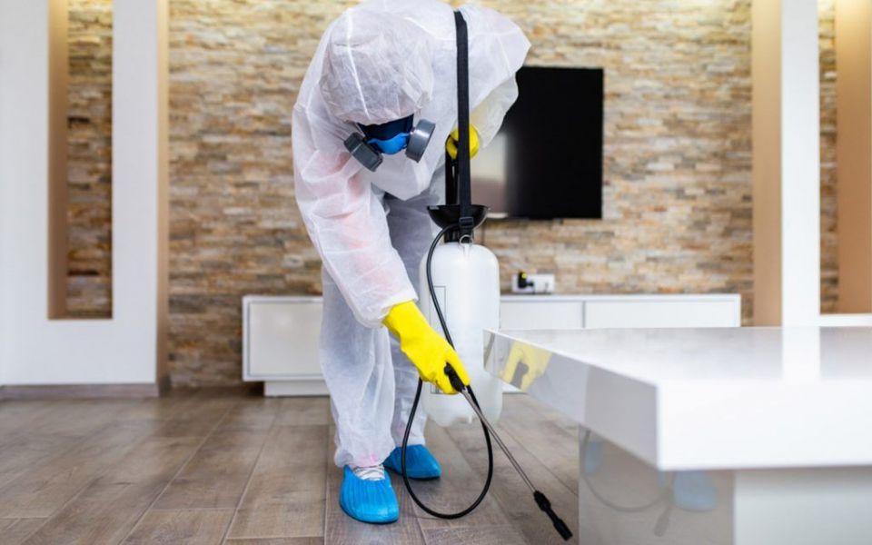 Eco Guardians  Cleaning Services in UAE