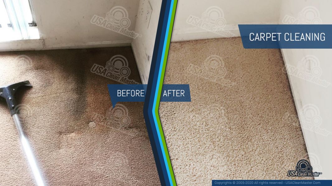 Carpet cleaning services Austin, TX -  USA Clean Master