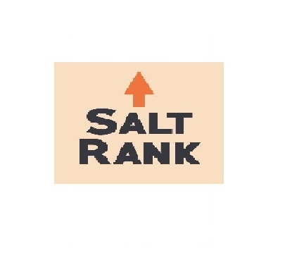 Best and effective PPC Services in Kansas City | Salt Rank