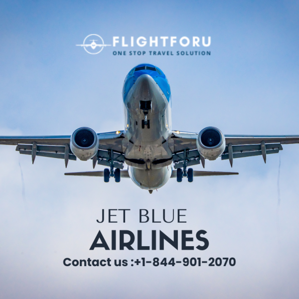 Jet Blue Airlines: The Best in Flight Experiences