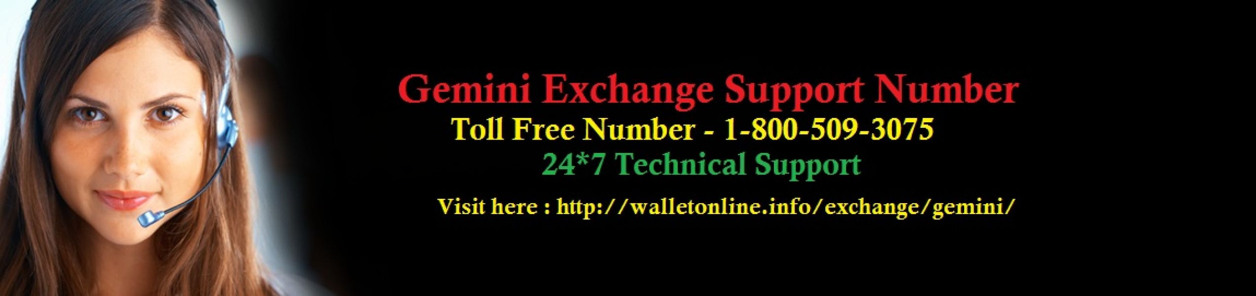 Gemini Unable to recover exchange: helpdesk number