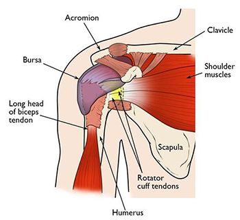 Chiropractic Adjustment