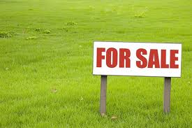 Lipa Countryside Estate Lot For Sale