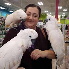 Very Friendly Umbrella Cockatoo Parrots for Sale