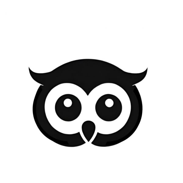 Unique Owls is a unique digital marketing agency That Ensure Your Success