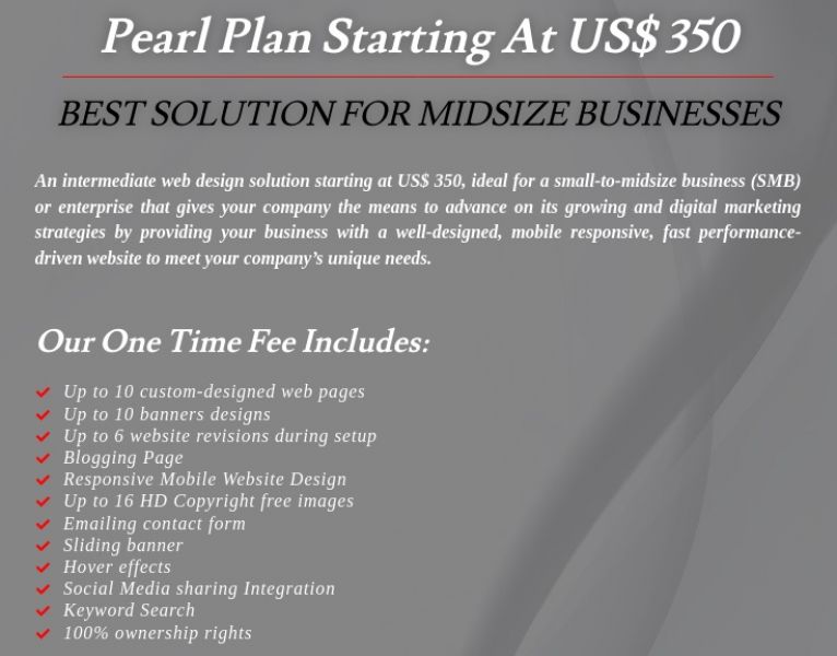 Professional Website Design for US$ 95 at BPM