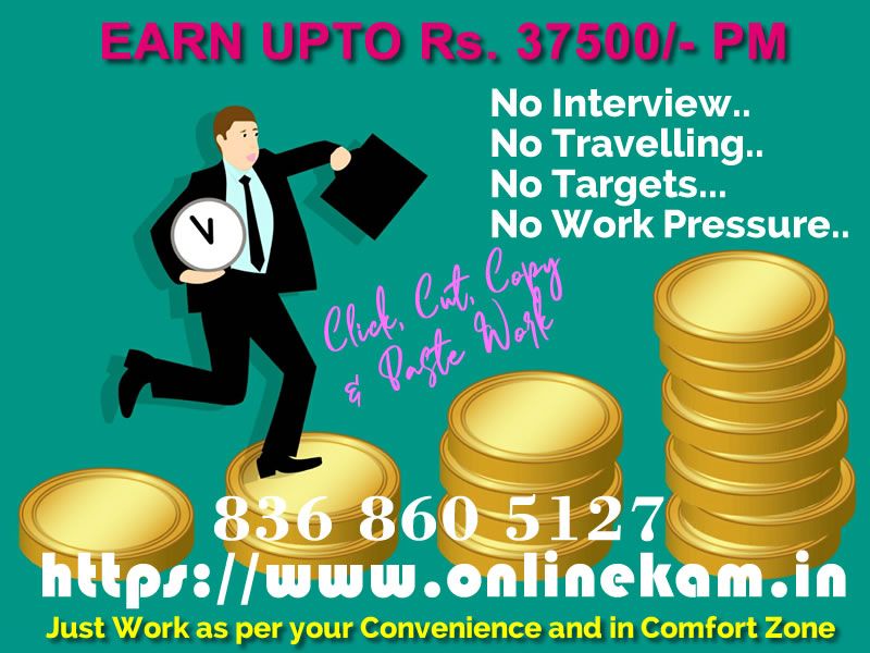 Full time or part time opportunity with online kaam