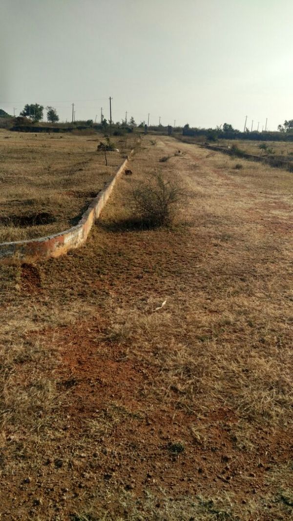  Get Plot at Maheshwaram IT park Hyderabad Rs.3500 persq yad