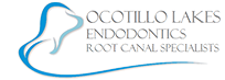 Ocotillo Lakes Endodontics