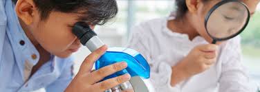 Physics & Chemistry Tuition