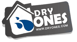 Black Mold Removal Inc