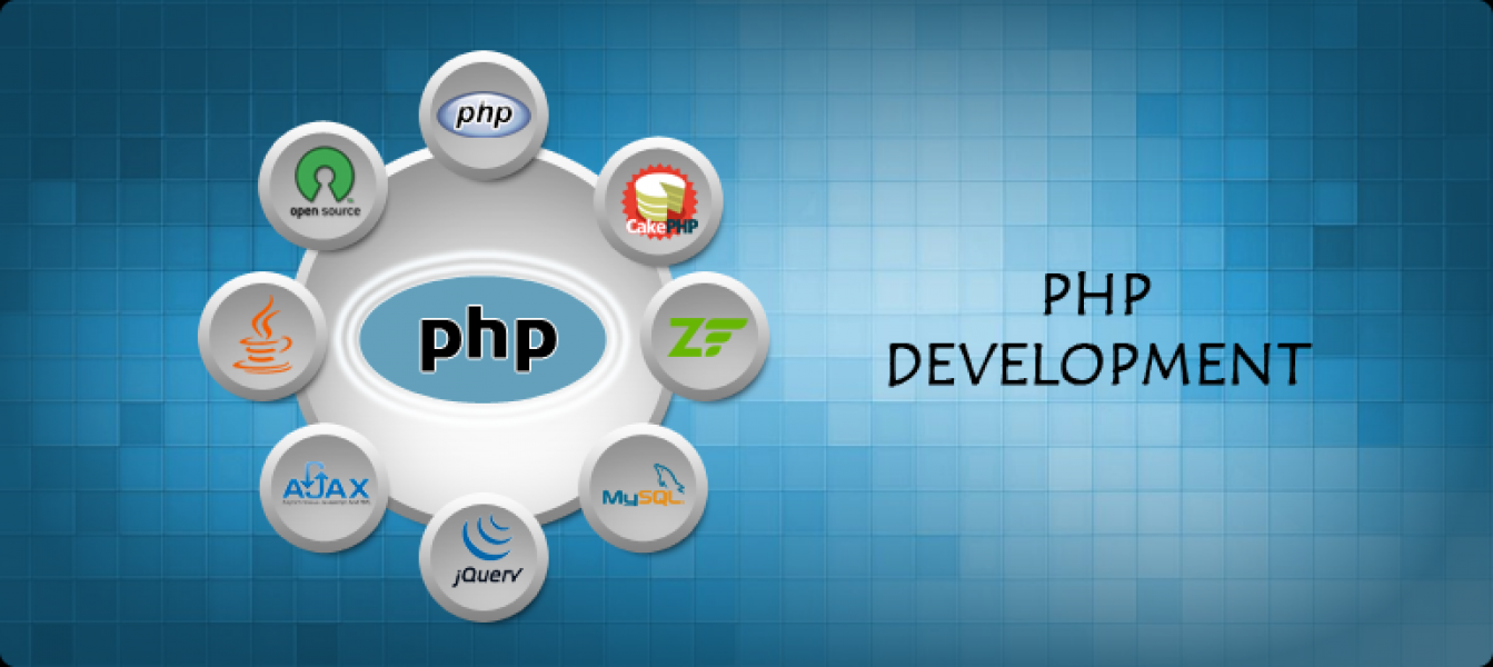 How do I find the best PHP web development company for long term projects