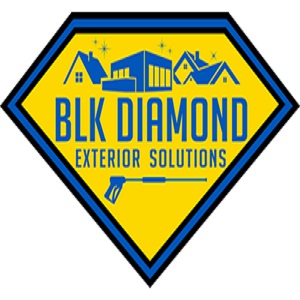 BLK Diamond Exterior Solutions