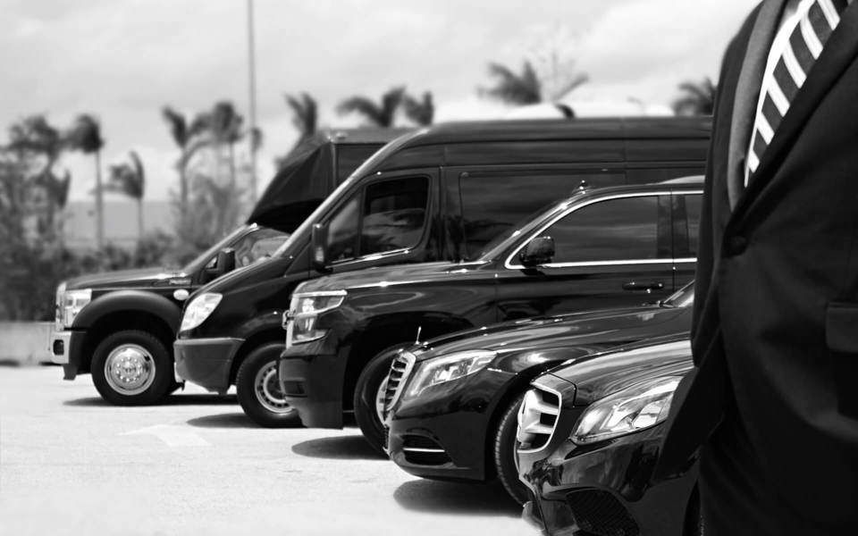 VIP Transfer Punta Cana